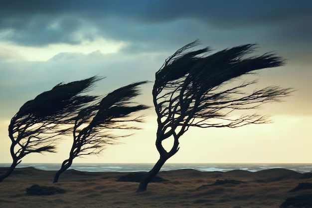 A Tempête risk